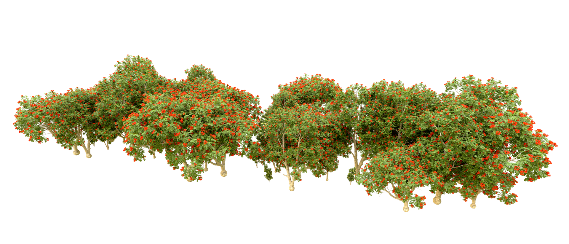 Green forest isolated on background. 3d rendering - illustration png