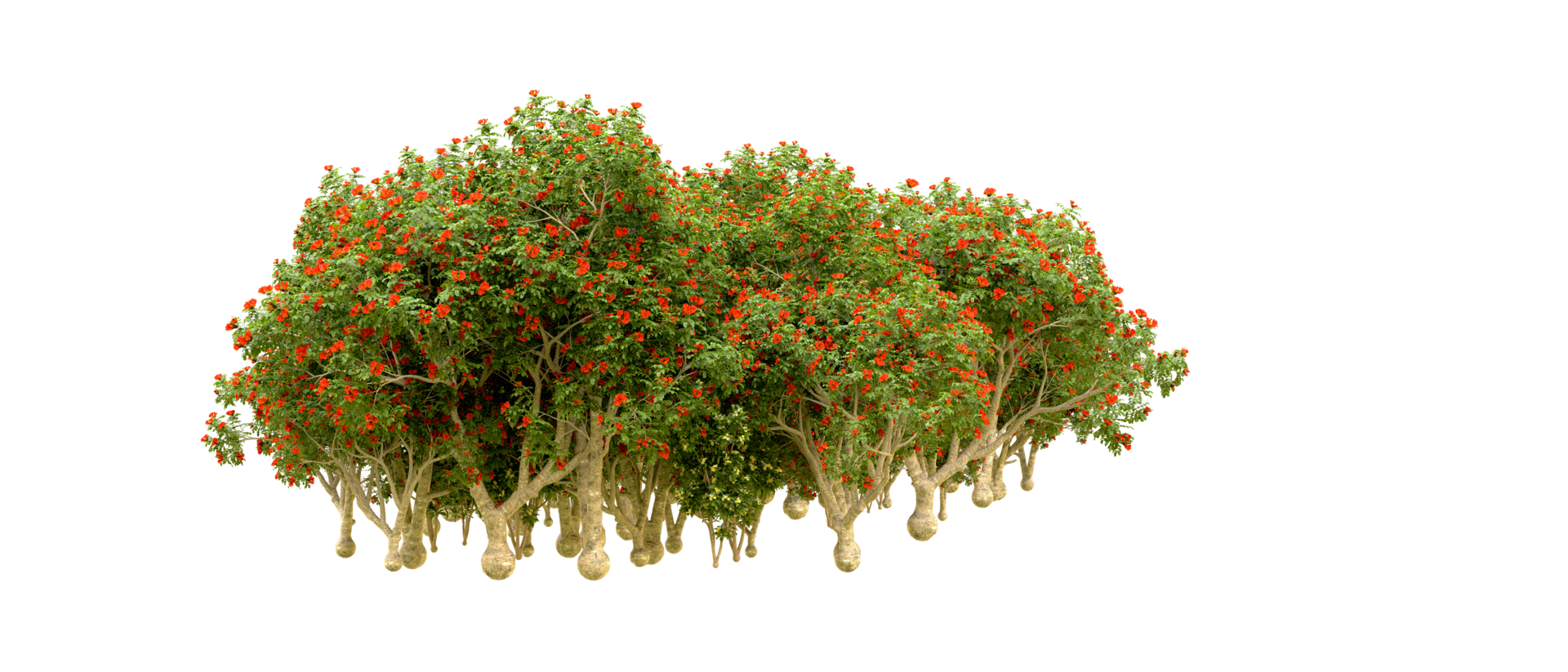 Green forest isolated on background. 3d rendering - illustration png