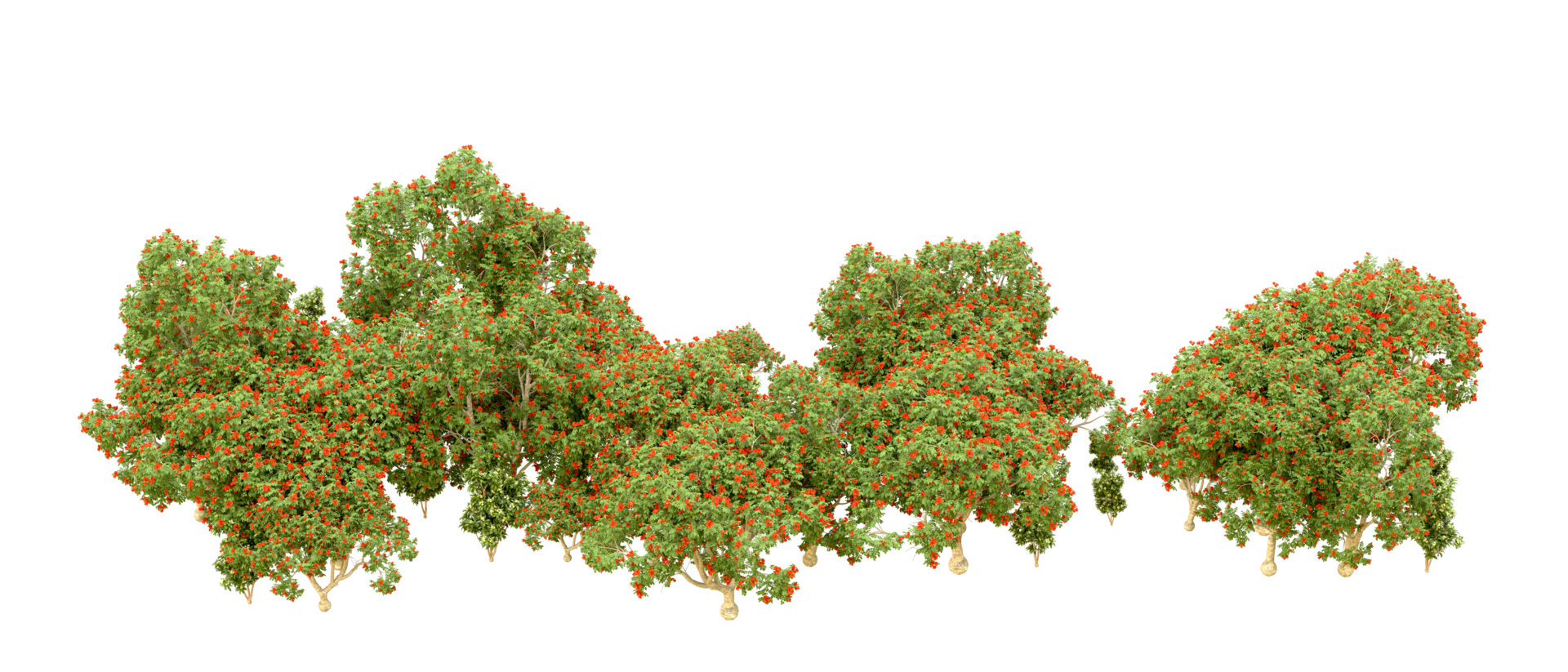 Green forest isolated on background. 3d rendering - illustration png