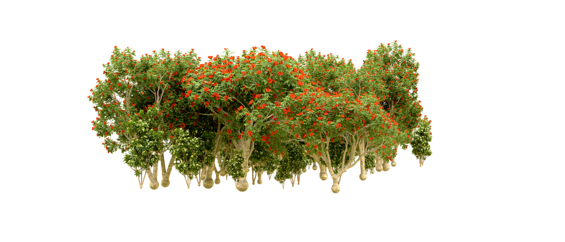 Green forest isolated on background. 3d rendering - illustration png