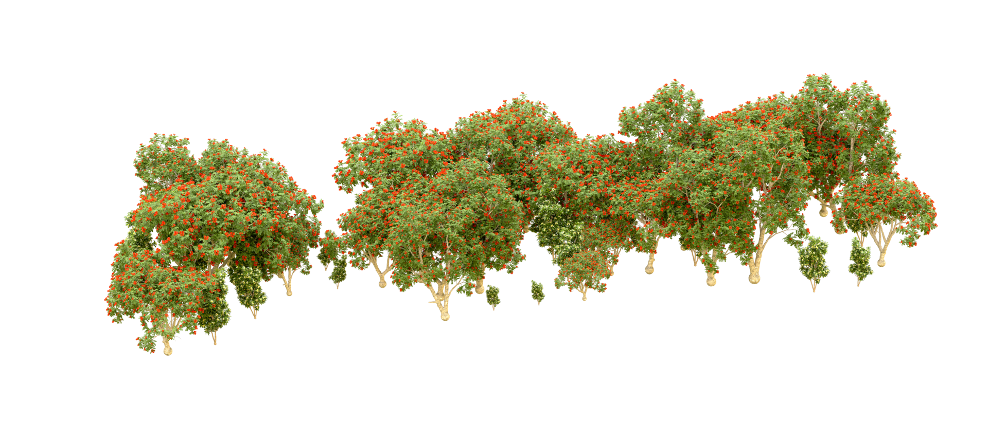 verde foresta isolato su sfondo. 3d interpretazione - illustrazione png