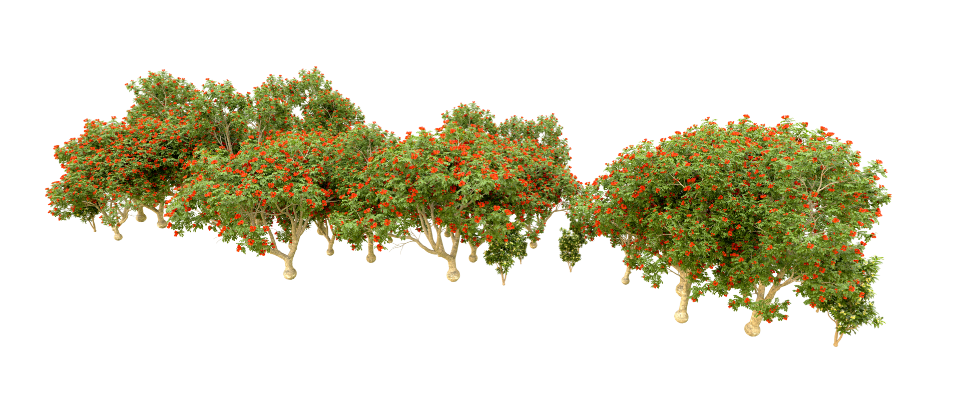 vert forêt isolé sur Contexte. 3d le rendu - illustration png