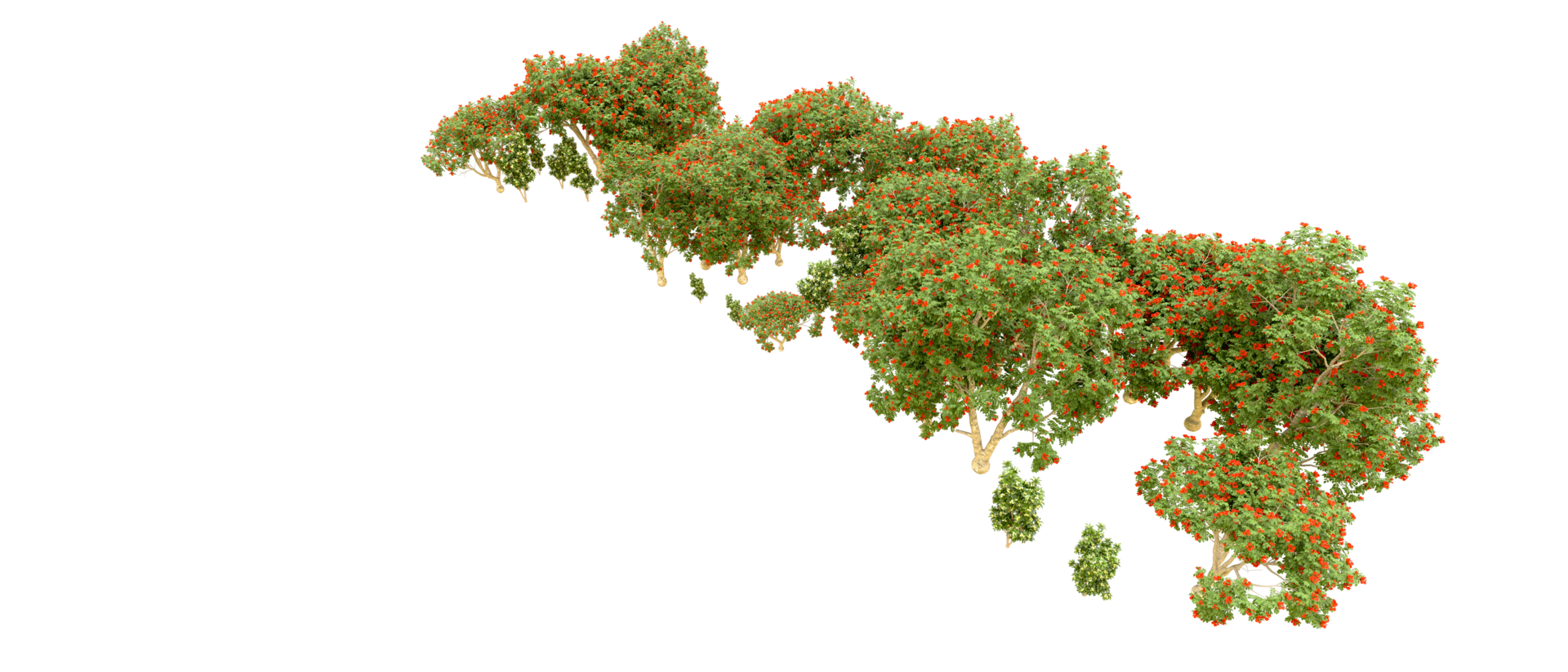 verde foresta isolato su sfondo. 3d interpretazione - illustrazione png