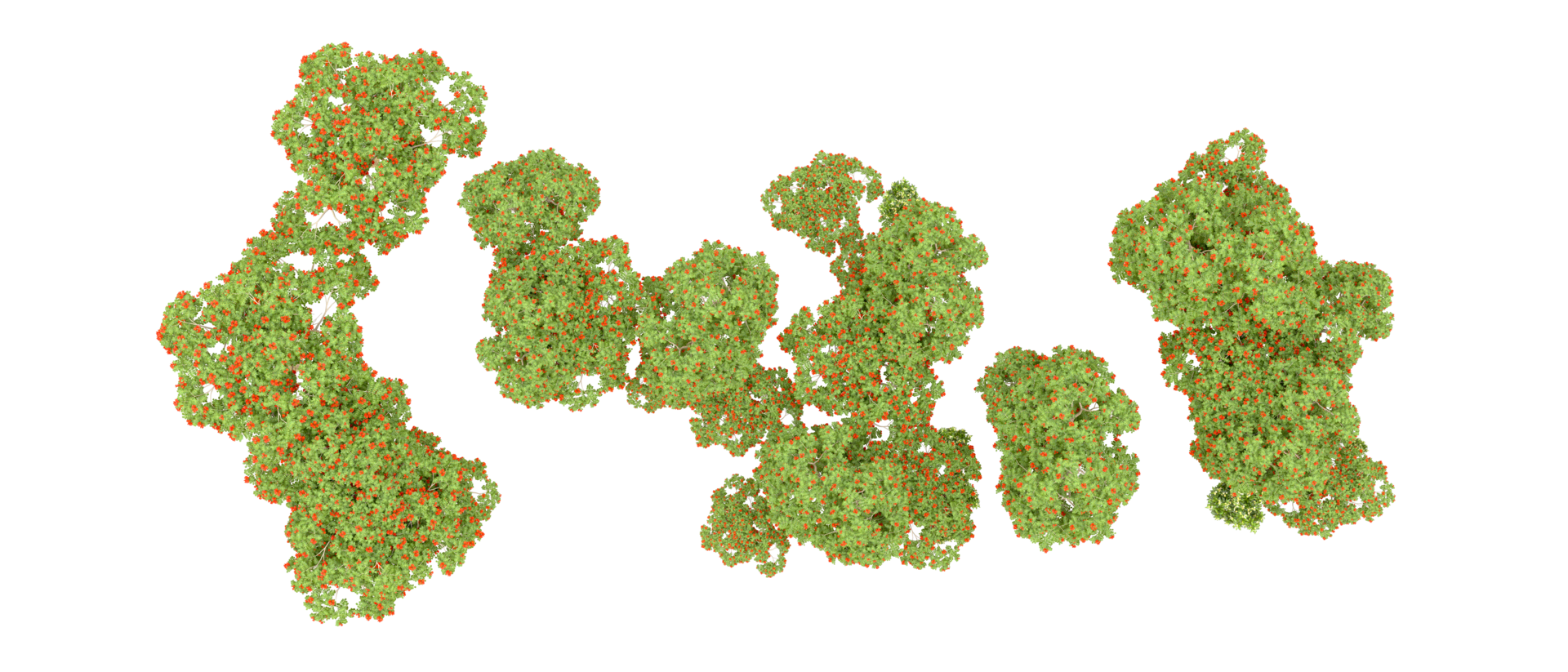 Green forest isolated on background. 3d rendering - illustration png
