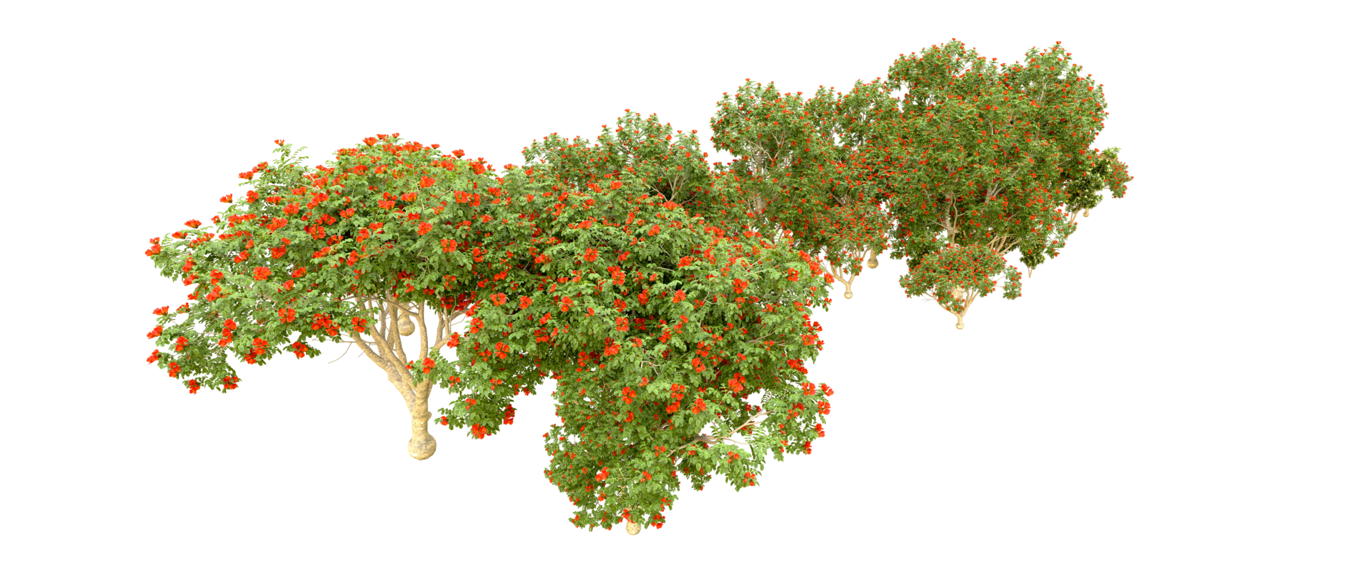 verde floresta isolado em fundo. 3d Renderização - ilustração png