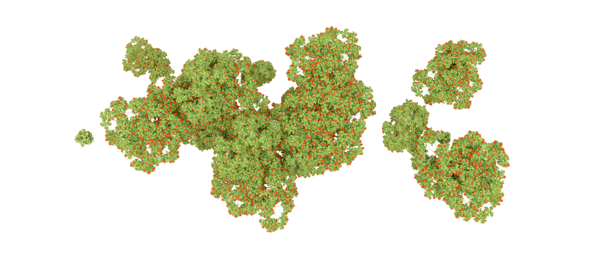 Green forest isolated on background. 3d rendering - illustration png