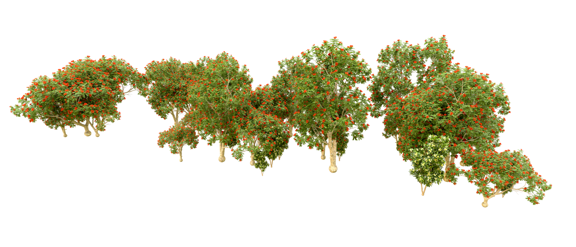 Green forest isolated on background. 3d rendering - illustration png