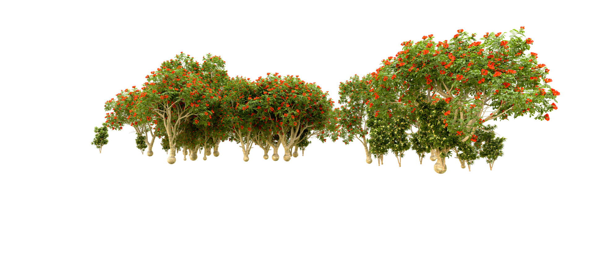Green forest isolated on background. 3d rendering - illustration png