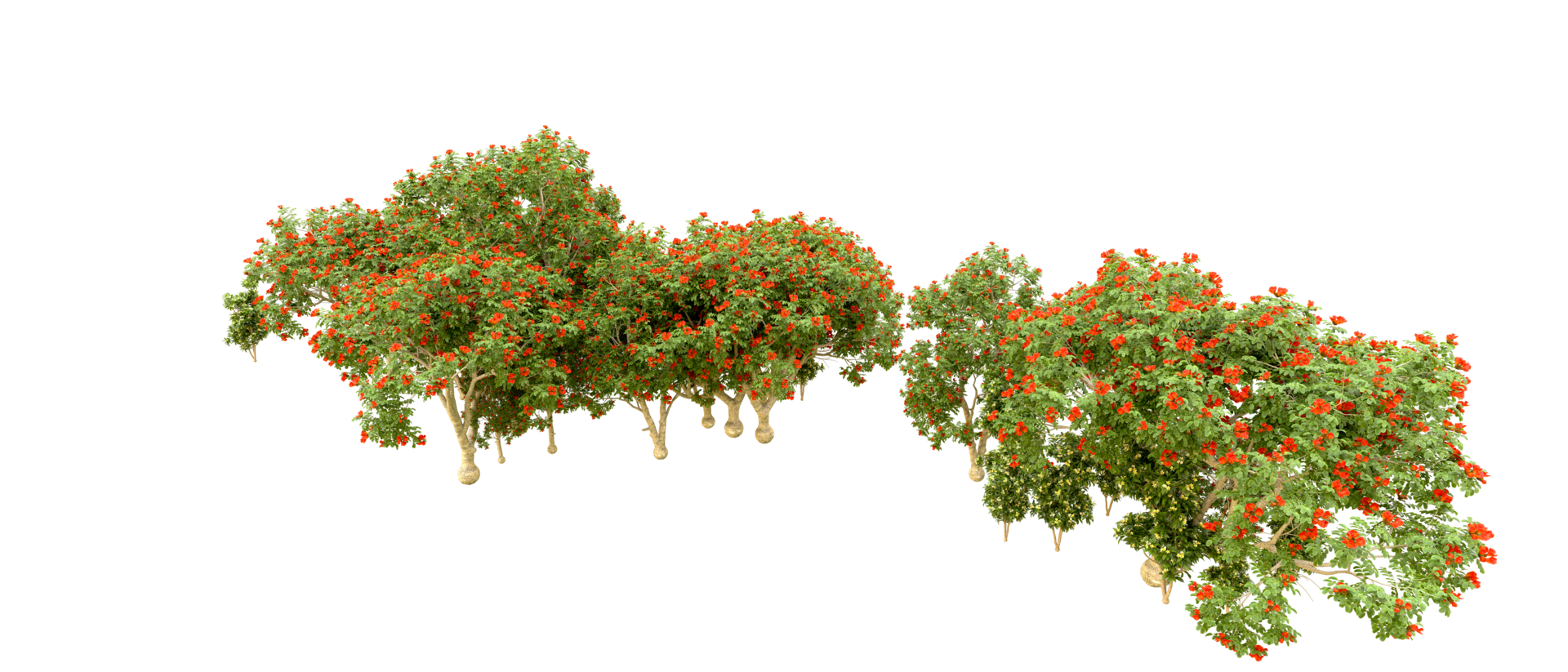 Green forest isolated on background. 3d rendering - illustration png