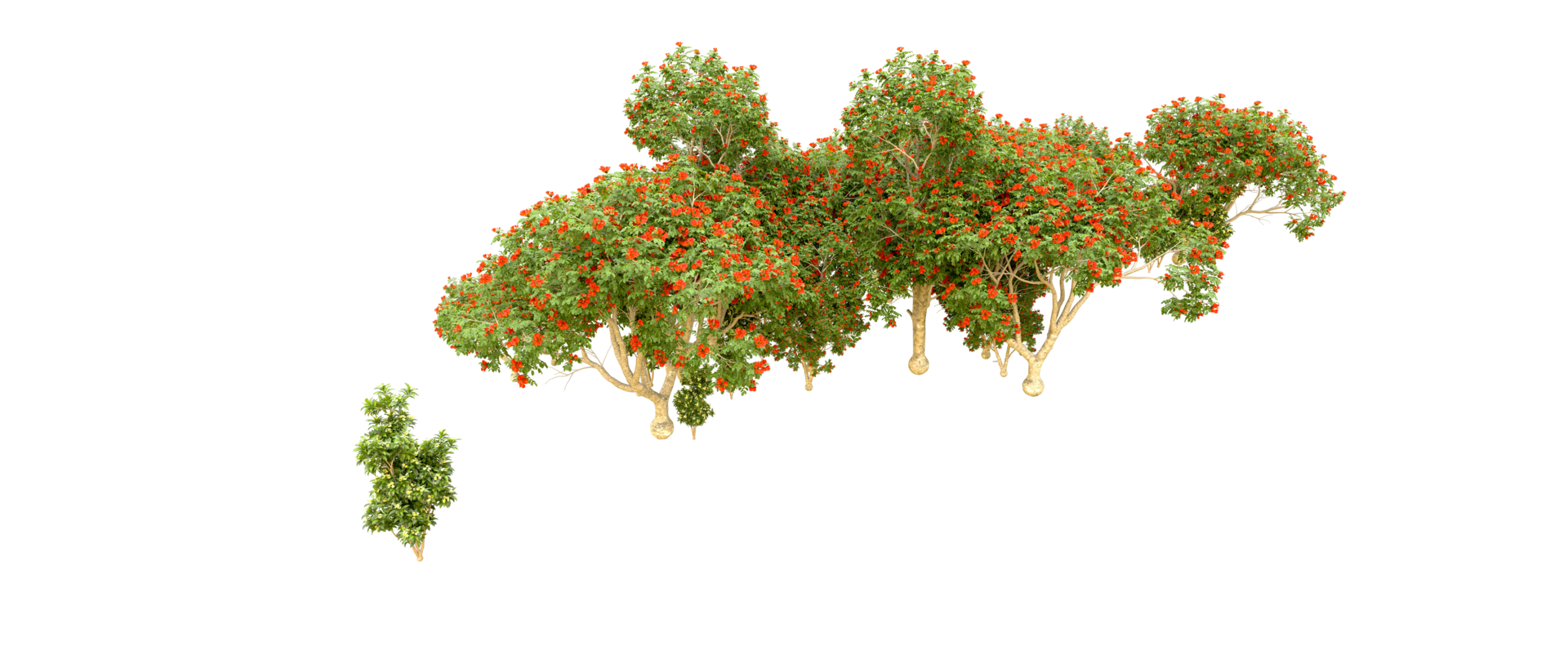 Green forest isolated on background. 3d rendering - illustration png