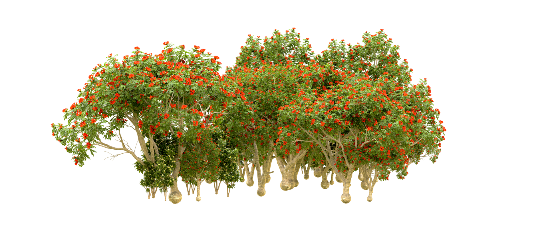 Green forest isolated on background. 3d rendering - illustration png