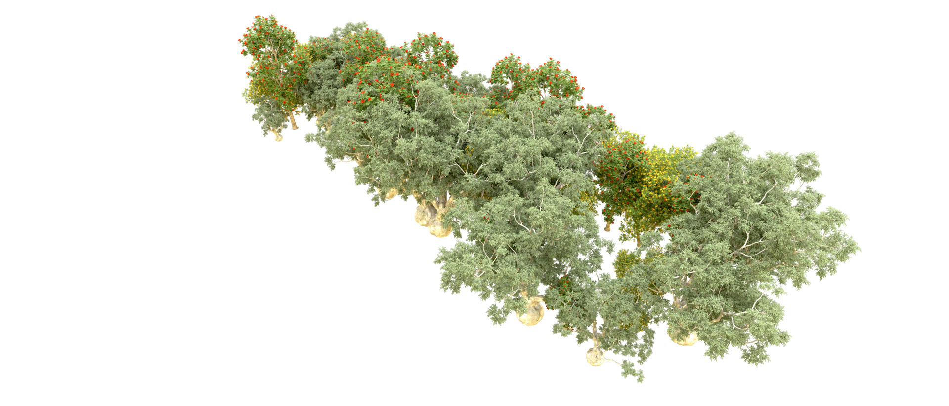 Green forest isolated on background. 3d rendering - illustration png