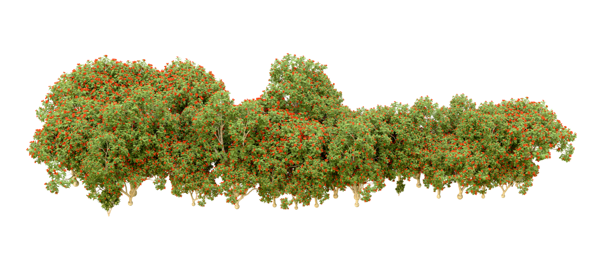 Green forest isolated on background. 3d rendering - illustration png