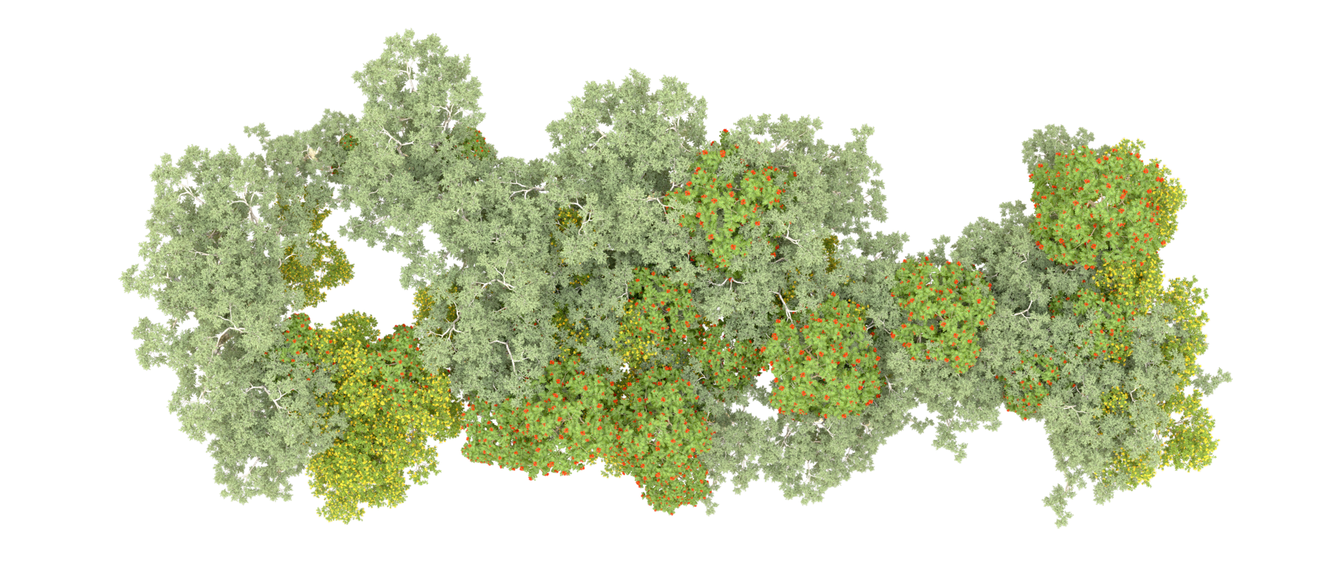 Green forest isolated on background. 3d rendering - illustration png