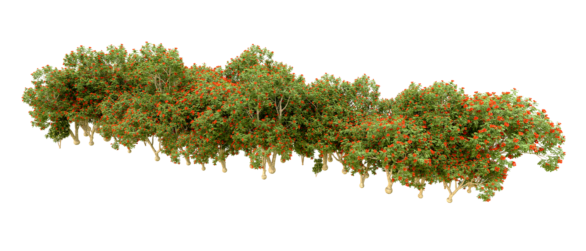 Green forest isolated on background. 3d rendering - illustration png