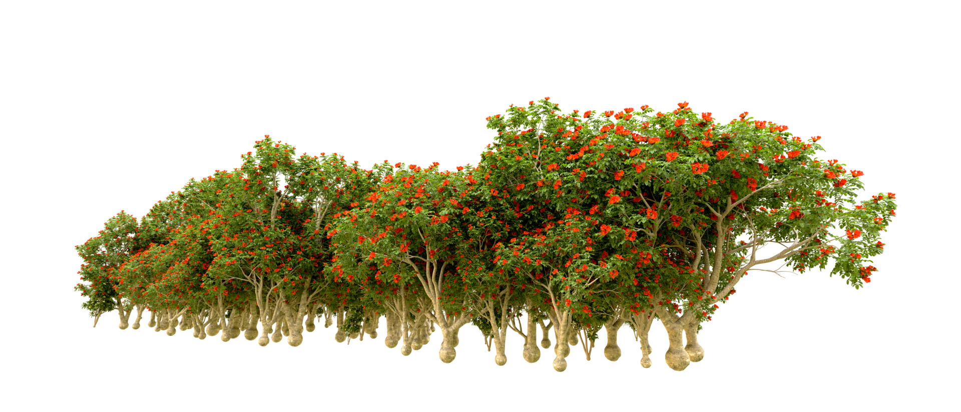 Green forest isolated on background. 3d rendering - illustration png