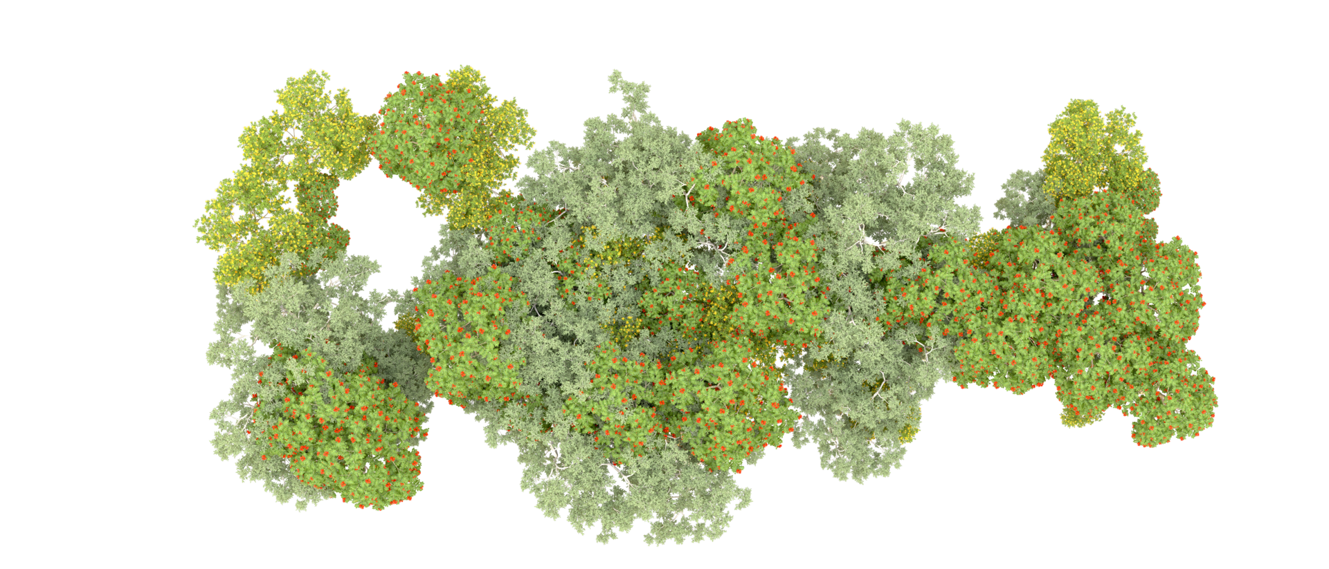 Green forest isolated on background. 3d rendering - illustration png