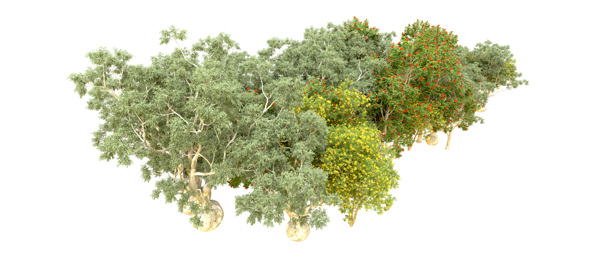 Green forest isolated on background. 3d rendering - illustration png