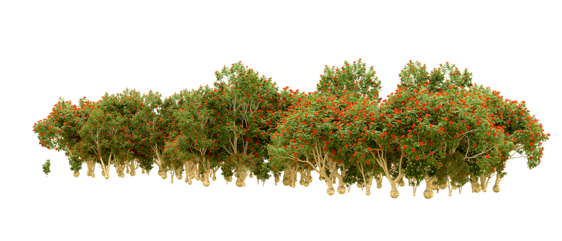Green forest isolated on background. 3d rendering - illustration png