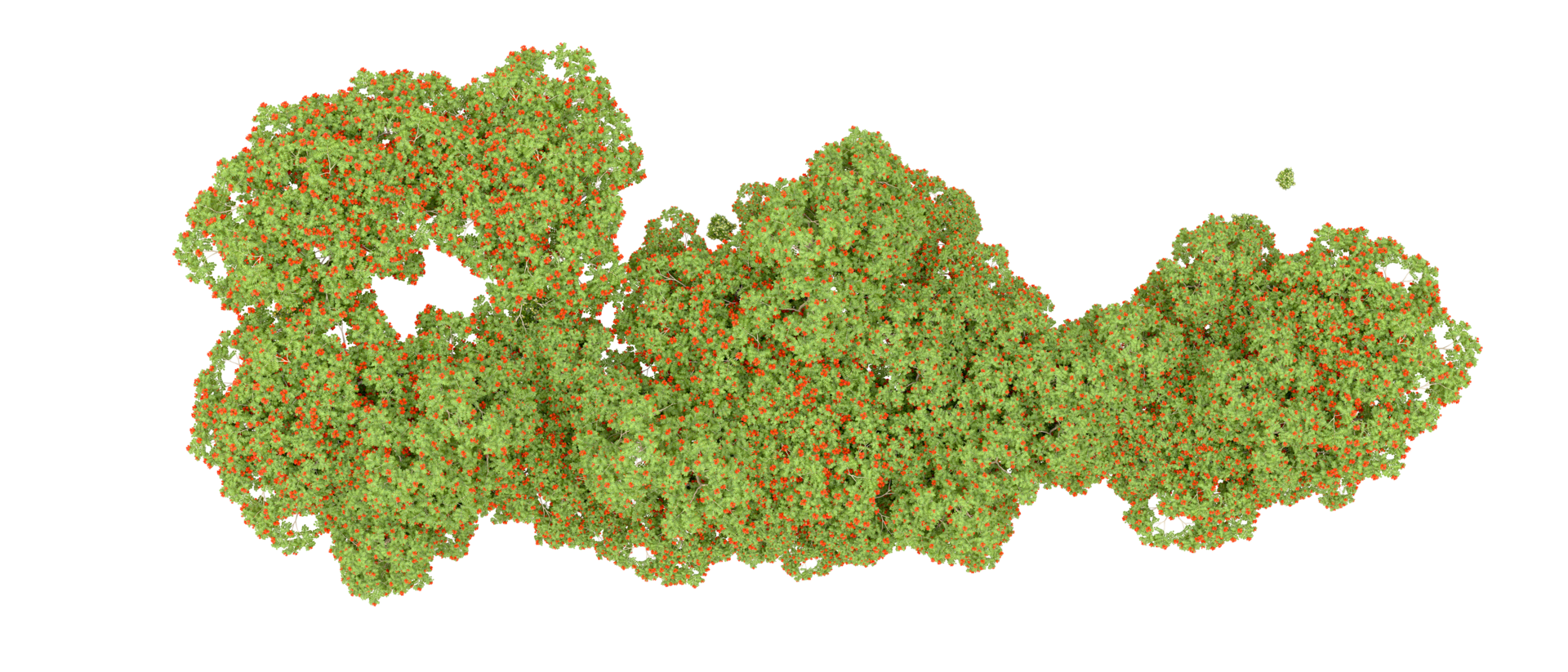 Green forest isolated on background. 3d rendering - illustration png