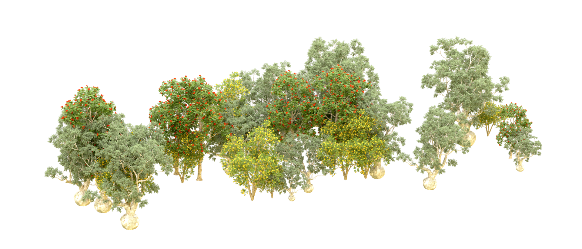 Green forest isolated on background. 3d rendering - illustration png