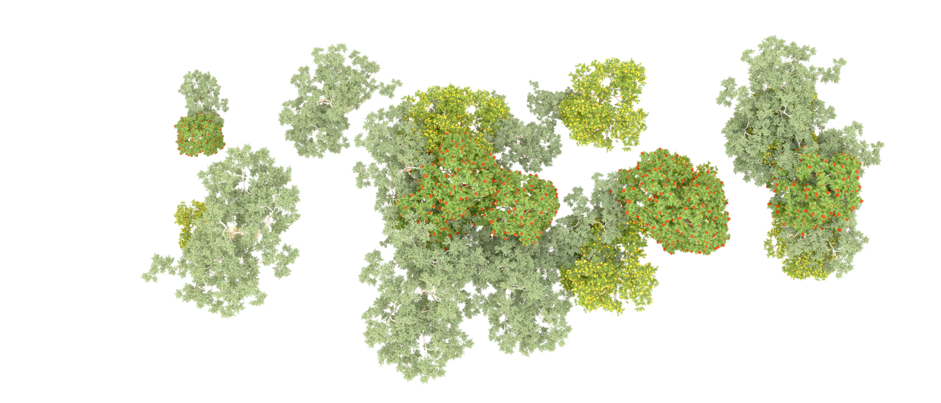 Green forest isolated on background. 3d rendering - illustration png