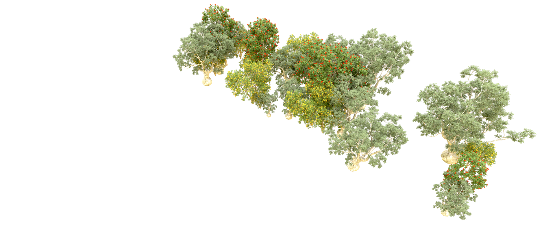 Green forest isolated on background. 3d rendering - illustration png