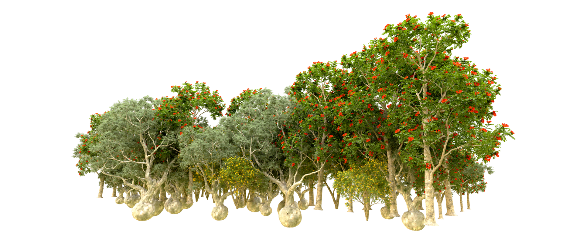 Green forest isolated on background. 3d rendering - illustration png