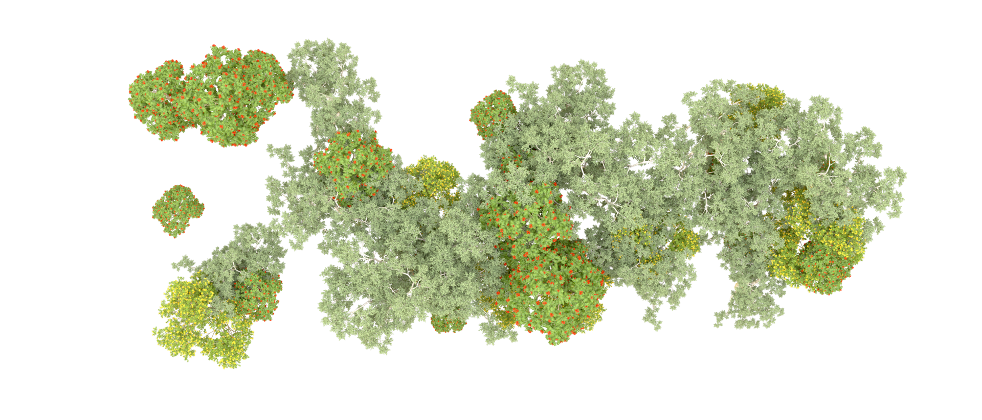 Grün Wald isoliert auf Hintergrund. 3d Rendern - - Illustration png