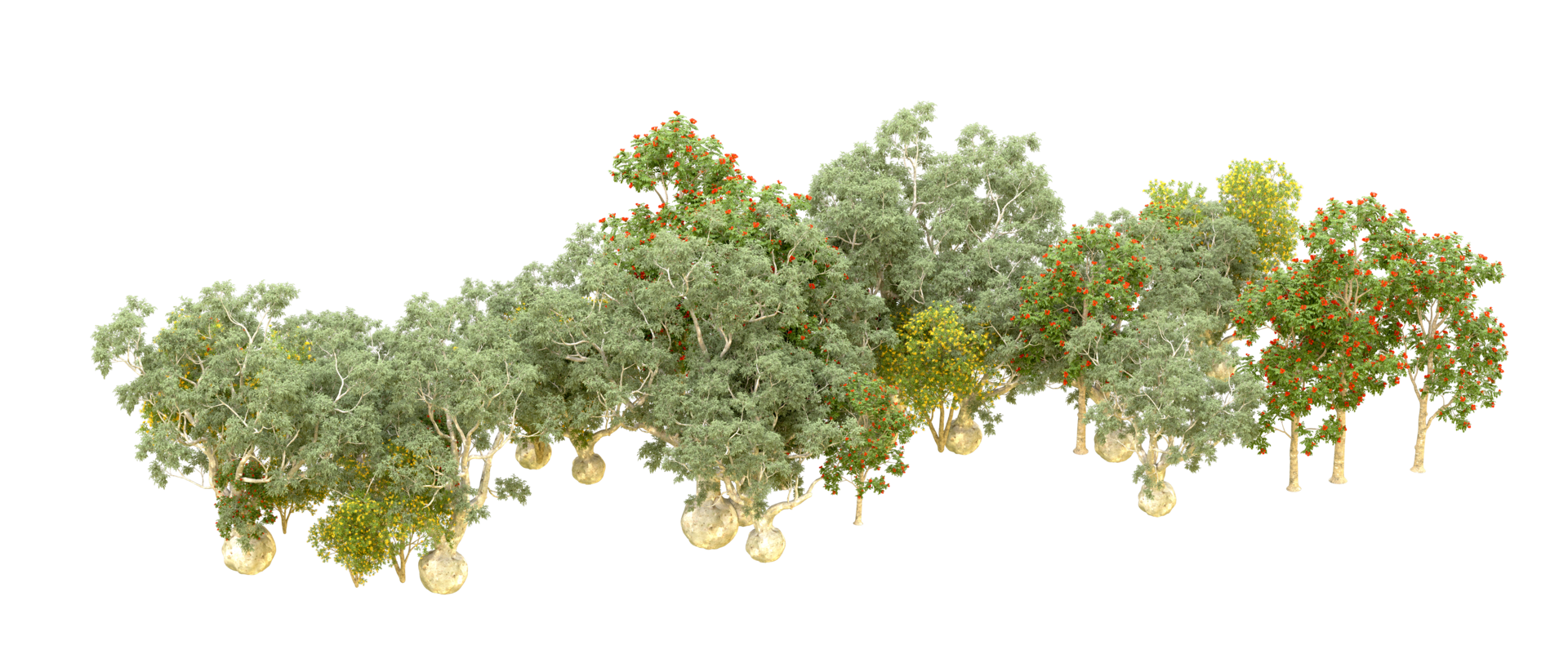 verde foresta isolato su sfondo. 3d interpretazione - illustrazione png