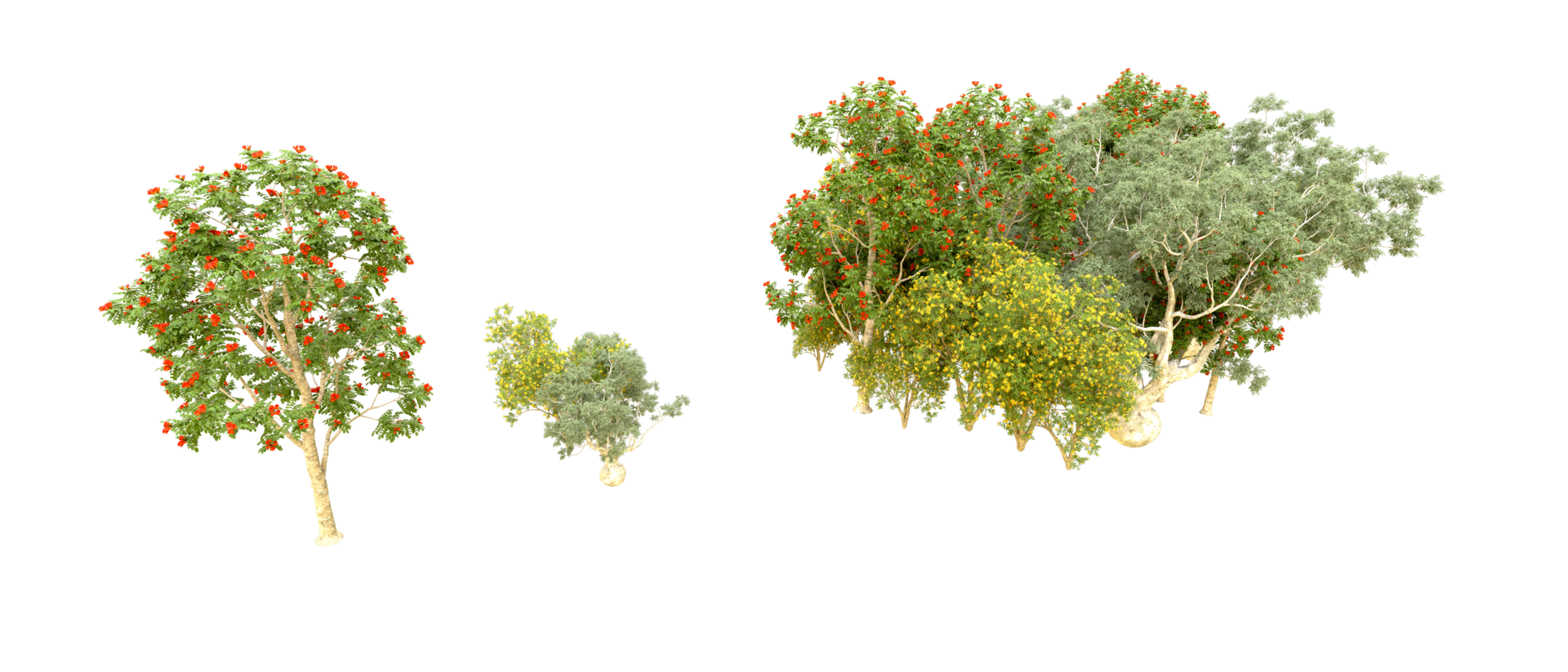 Green forest isolated on background. 3d rendering - illustration png