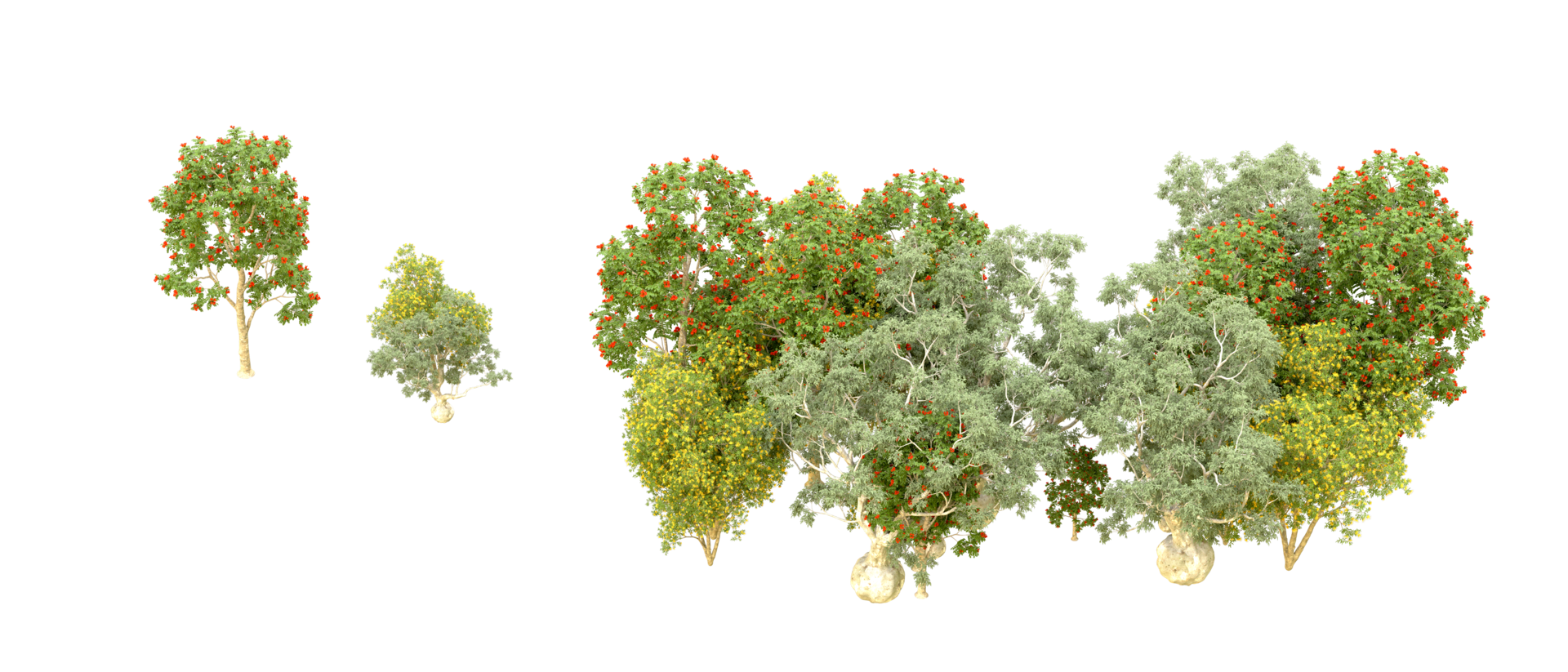 Green forest isolated on background. 3d rendering - illustration png