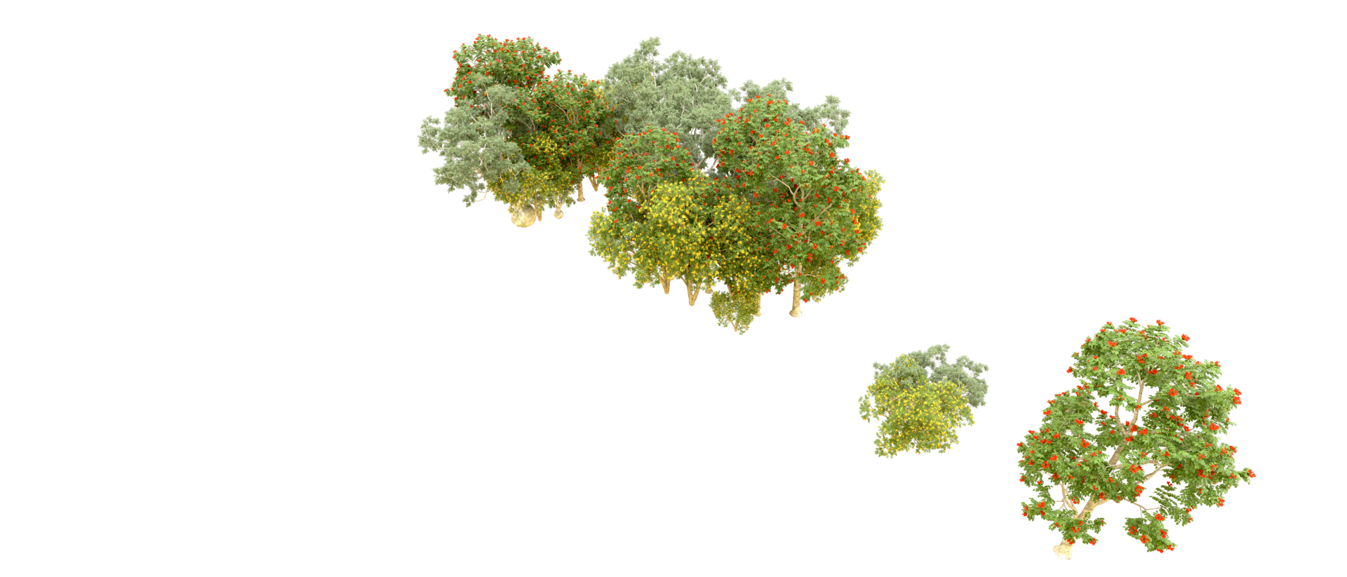Green forest isolated on background. 3d rendering - illustration png