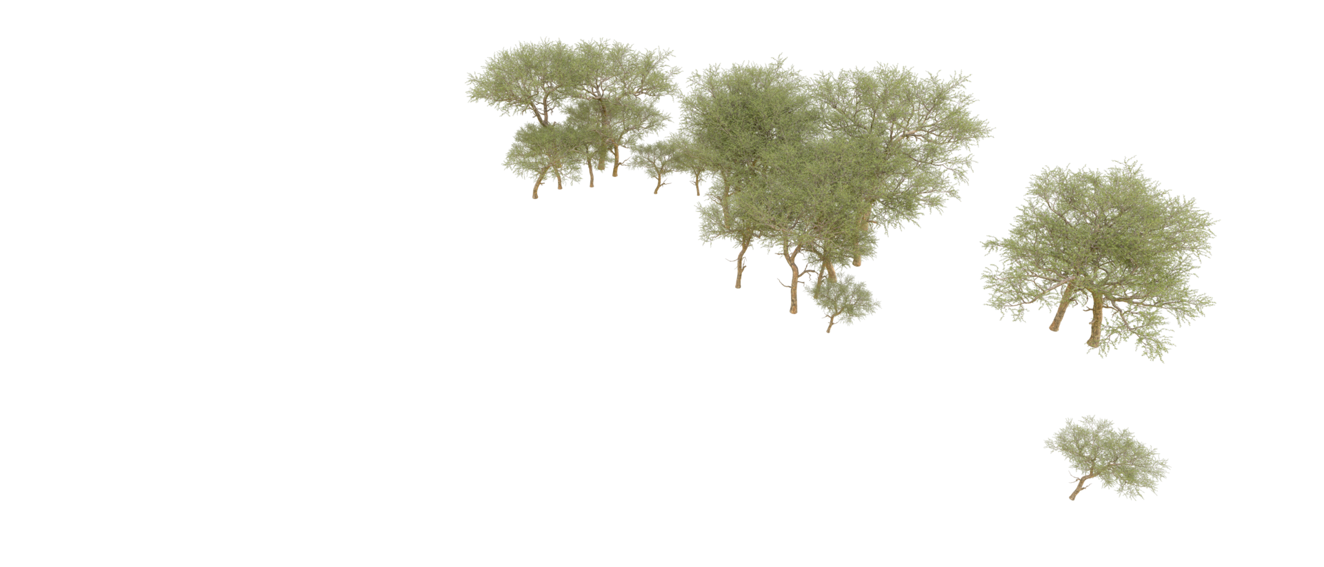 Green forest isolated on background. 3d rendering - illustration png