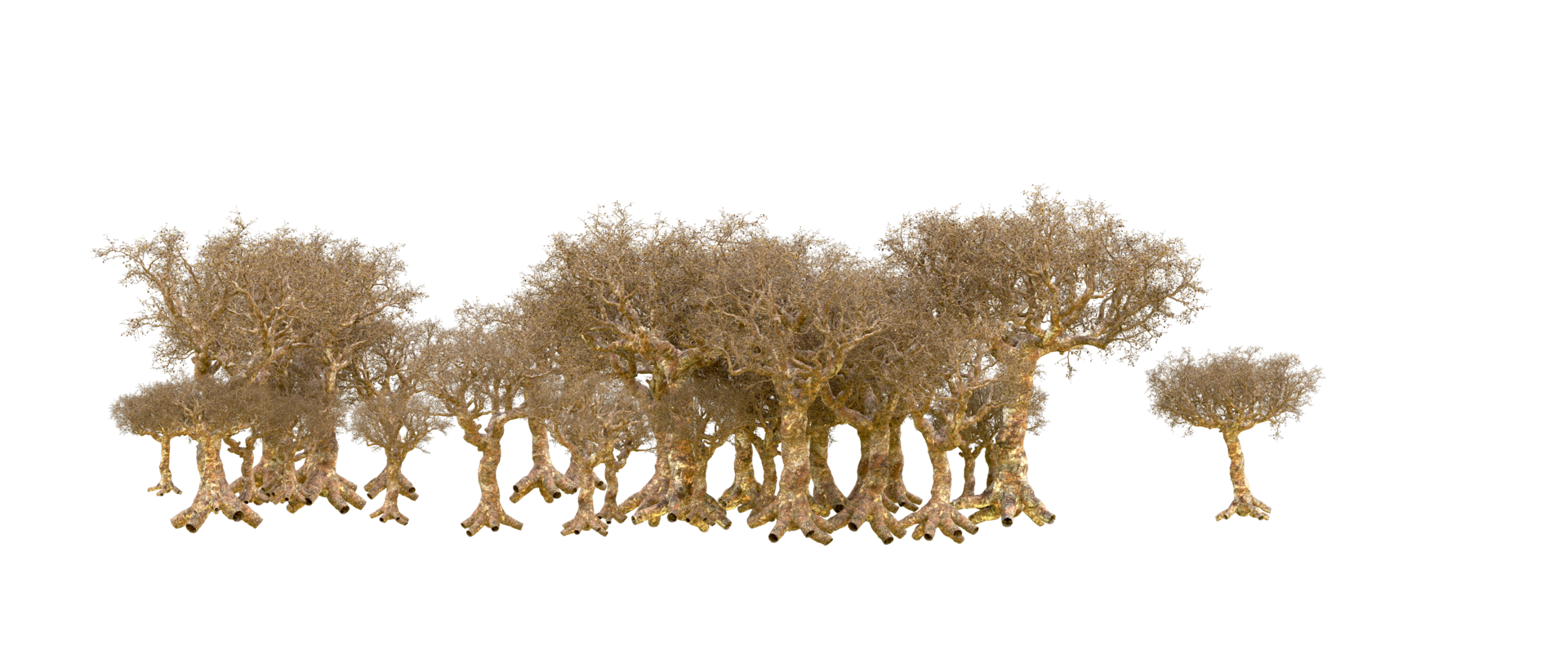 Green forest isolated on background. 3d rendering - illustration png