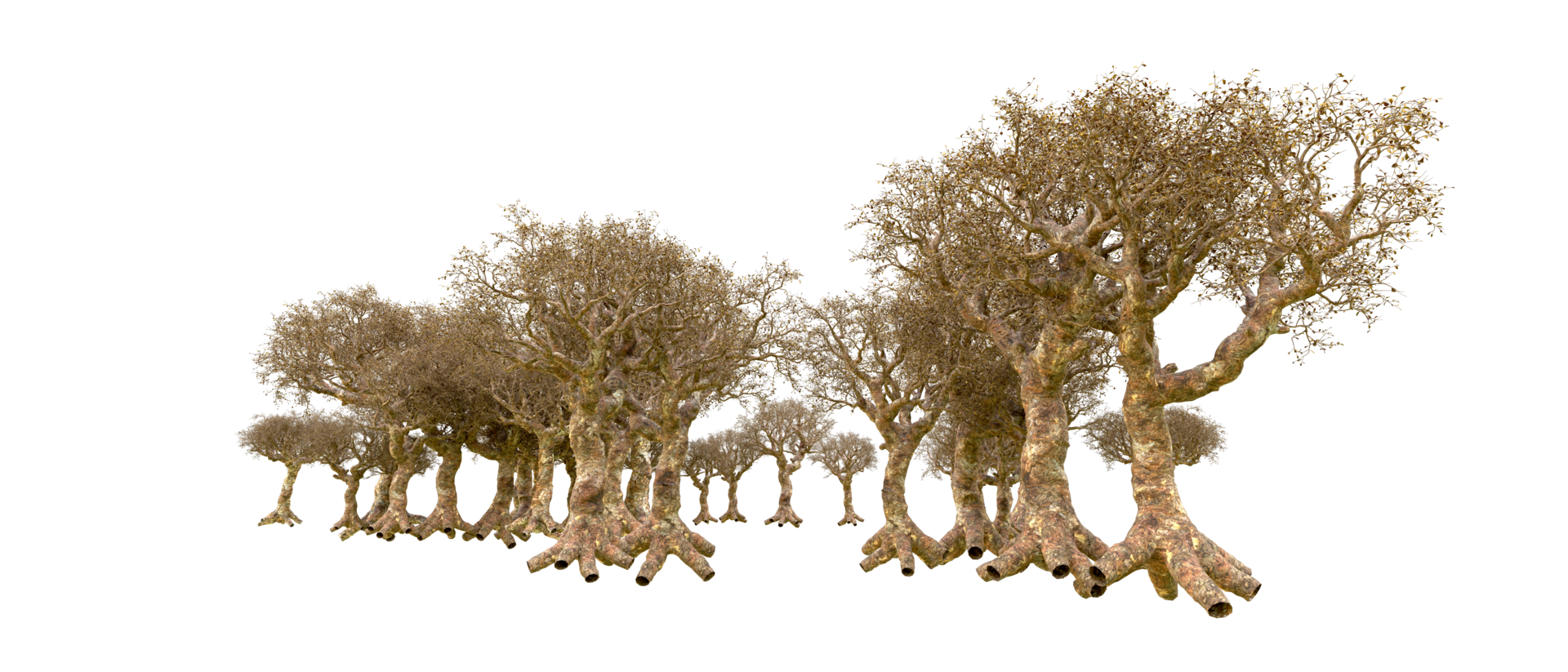 Green forest isolated on background. 3d rendering - illustration png