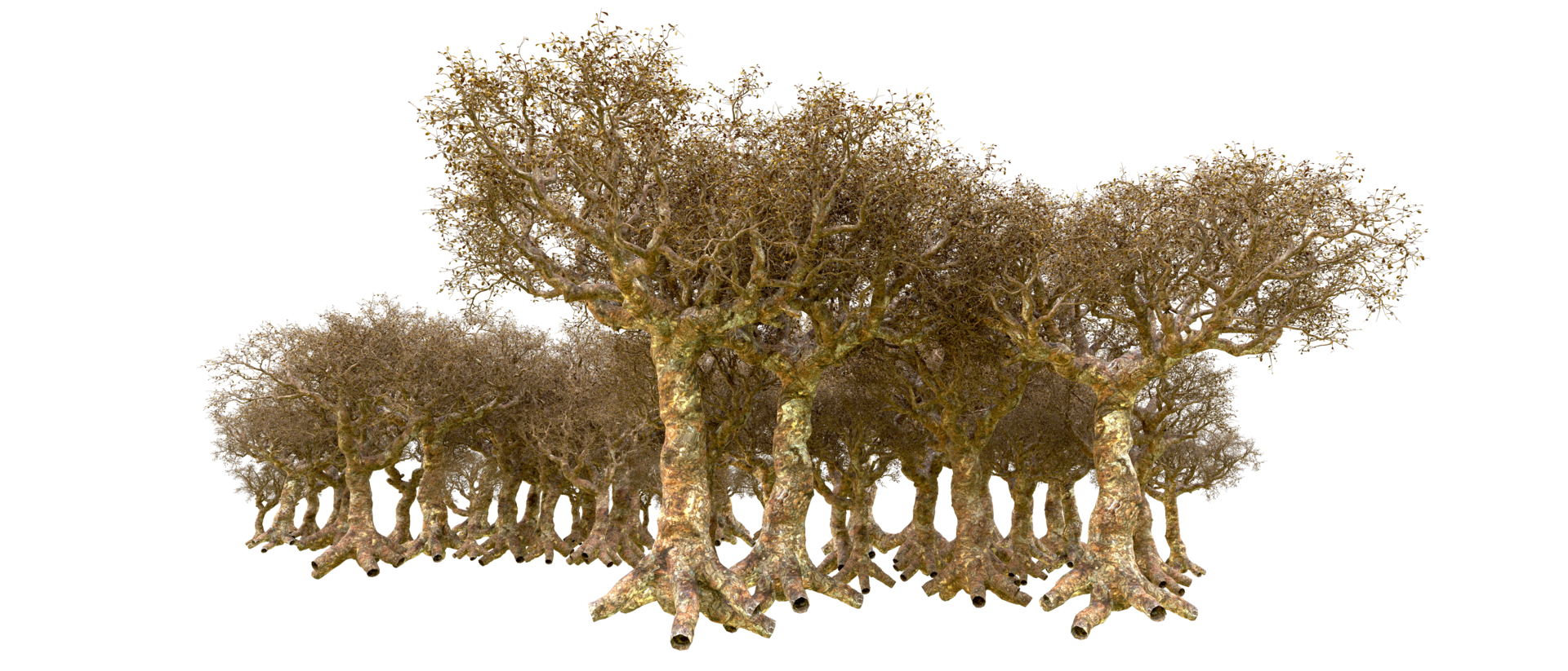 Green forest isolated on background. 3d rendering - illustration png