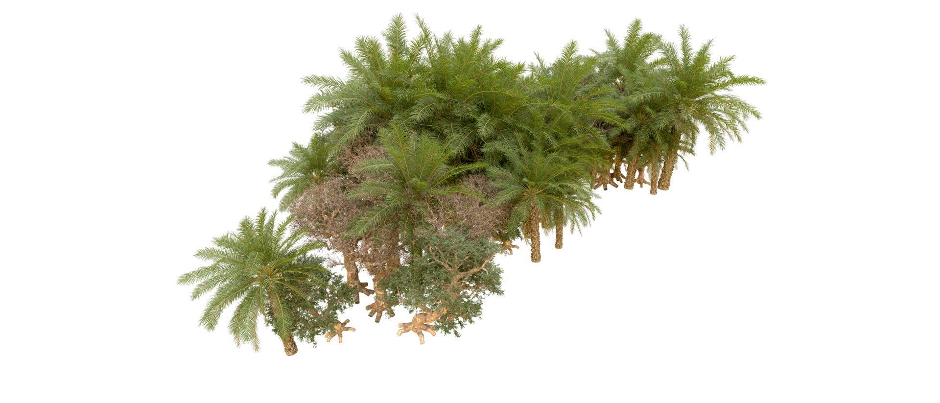 Green forest isolated on background. 3d rendering - illustration png