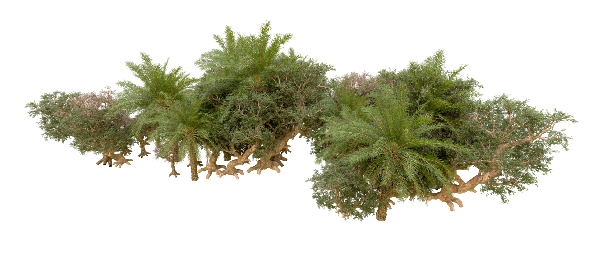 Green forest isolated on background. 3d rendering - illustration png