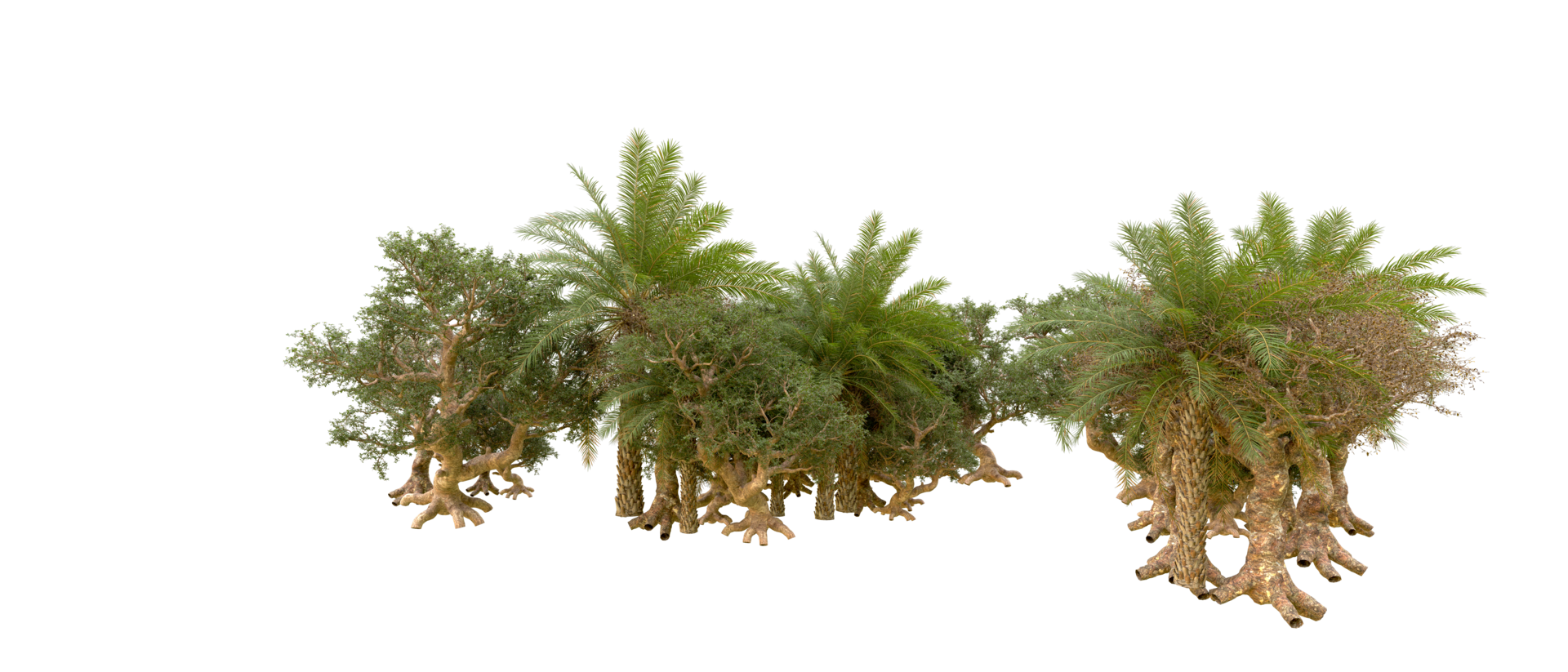 Green forest isolated on background. 3d rendering - illustration png