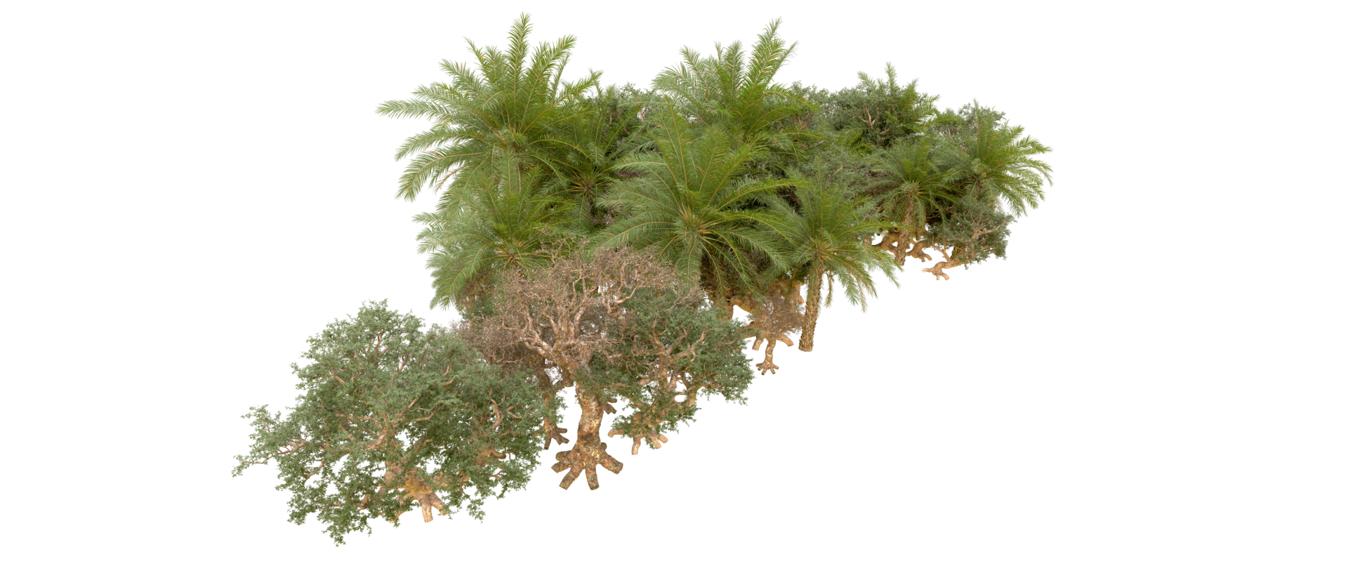 Green forest isolated on background. 3d rendering - illustration png