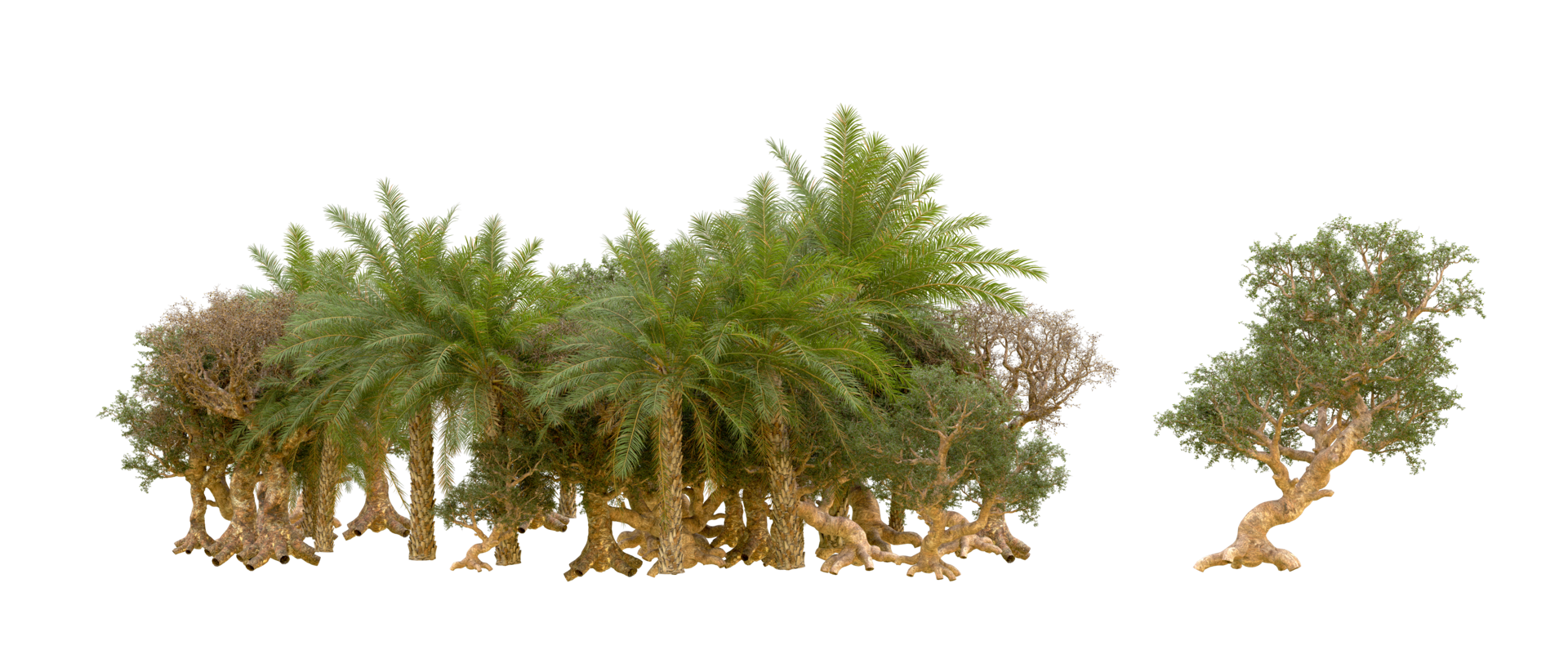 Green forest isolated on background. 3d rendering - illustration png