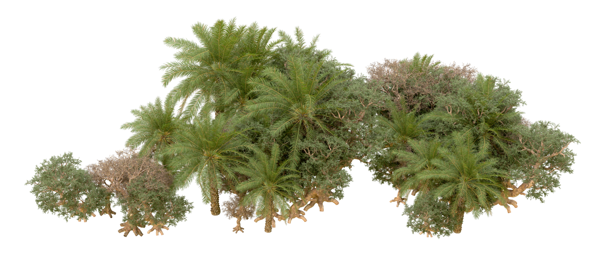 Green forest isolated on background. 3d rendering - illustration png