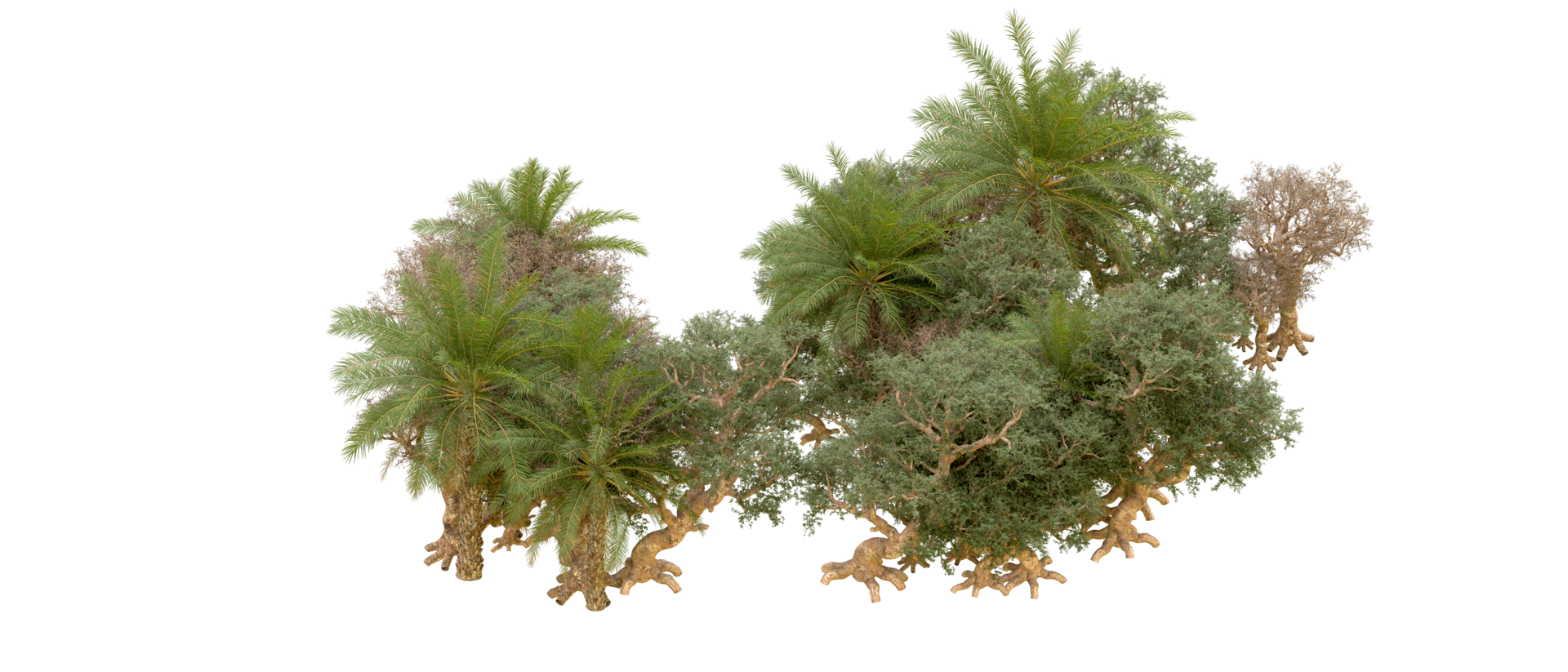 Green forest isolated on background. 3d rendering - illustration png