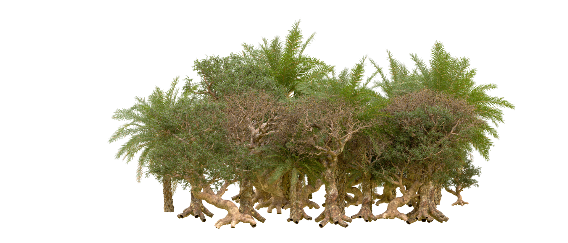 Green forest isolated on background. 3d rendering - illustration png