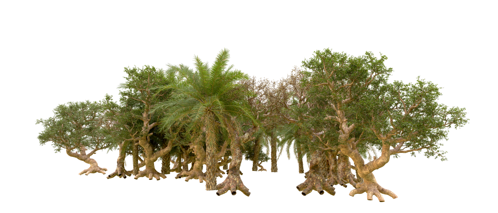 Green forest isolated on background. 3d rendering - illustration png