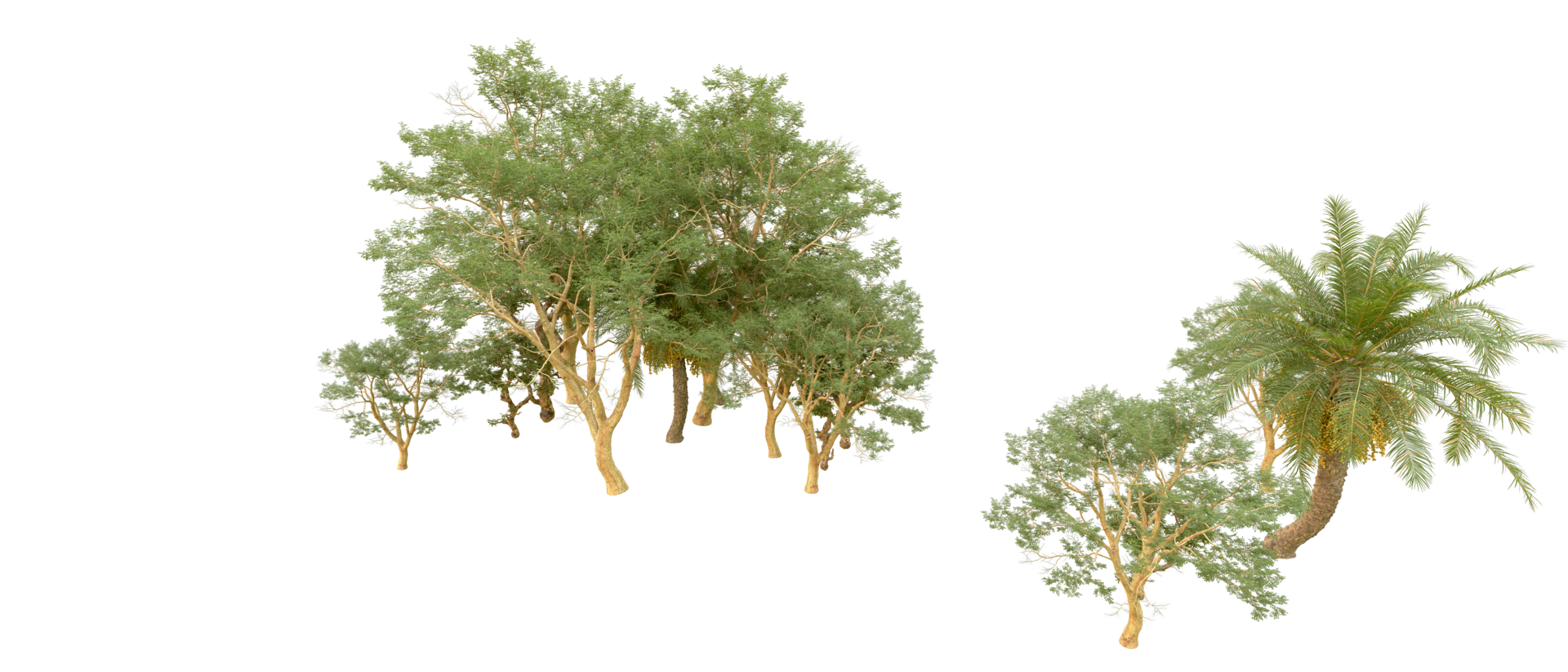 Green forest isolated on background. 3d rendering - illustration png
