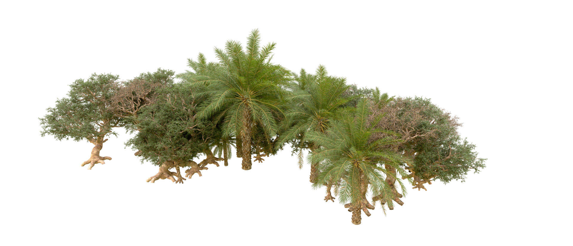 Green forest isolated on background. 3d rendering - illustration png