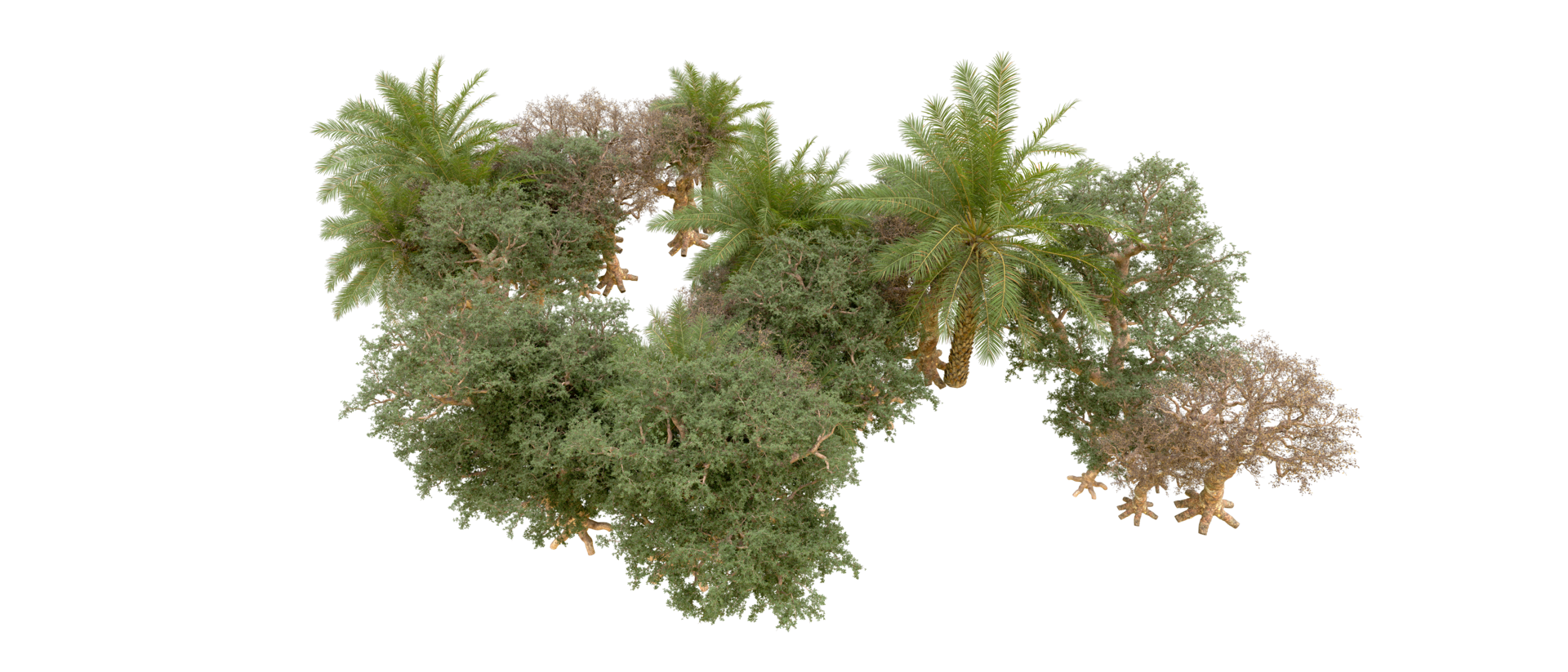 Green forest isolated on background. 3d rendering - illustration png