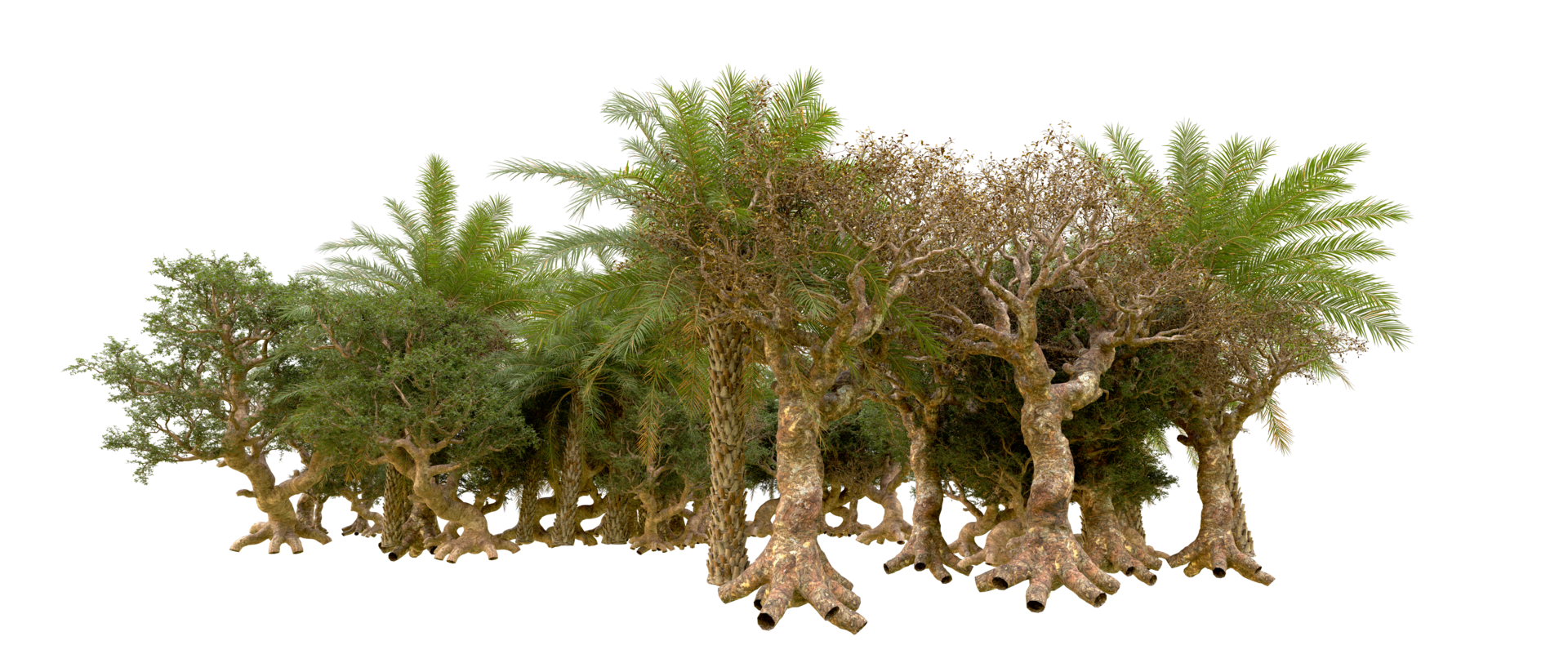 Green forest isolated on background. 3d rendering - illustration png
